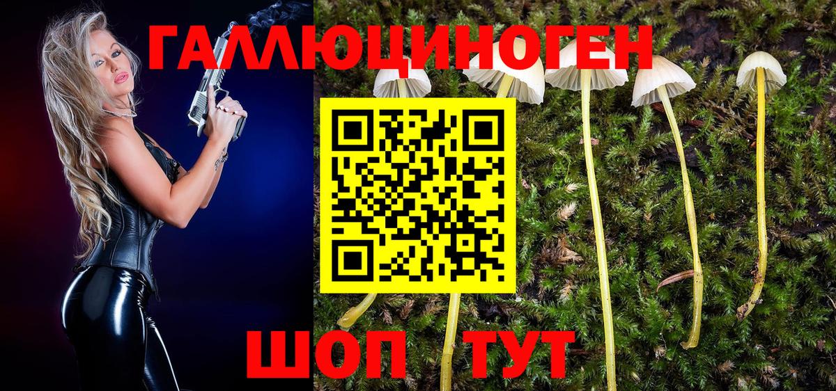 Галлюциногенные грибы мухоморы  Галлюциногенные грибы Cubensis  Мыски  Вход с VPN 